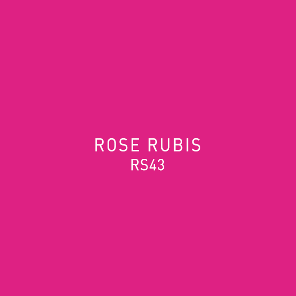 Rose Rubis RS43